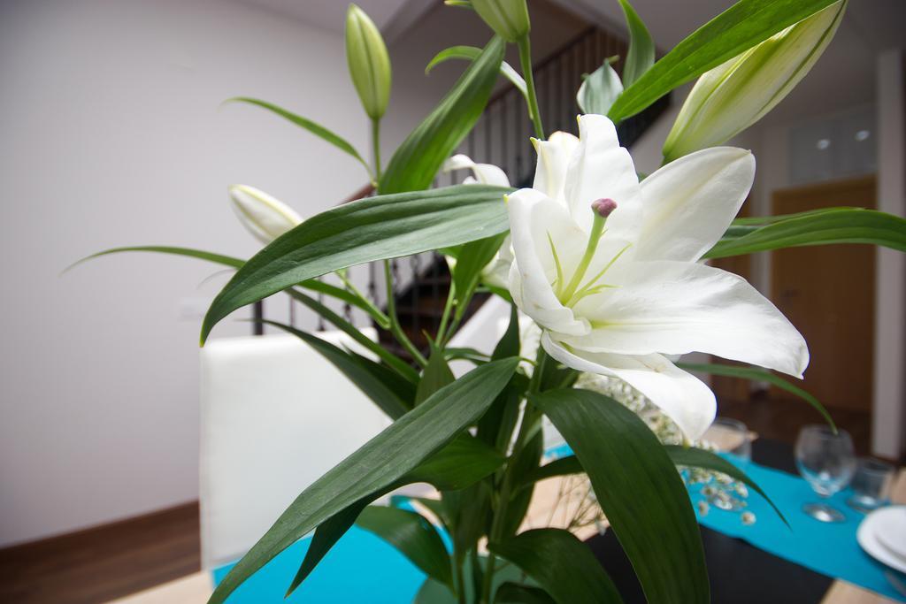 Apartment Valencia Bagian luar foto